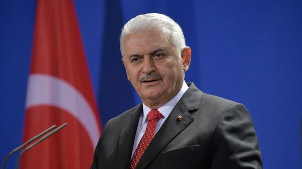 Binəli Yıldırım, arxiv şəkli - Sputnik Азербайджан