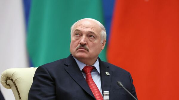 Президент Белоруссии Александр Лукашенко на заседании в расширенном составе глав стран - участниц Шанхайской организации сотрудничества (ШОС), глав стран - наблюдателей ШОС, глав приглашенных государств и глав приглашенных международных организаций. - Sputnik Азербайджан