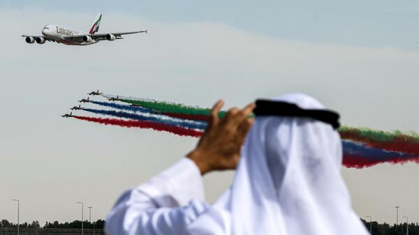 Зритель смотрит на авиашоу в Dubai World Central, Дубай - Sputnik Азербайджан