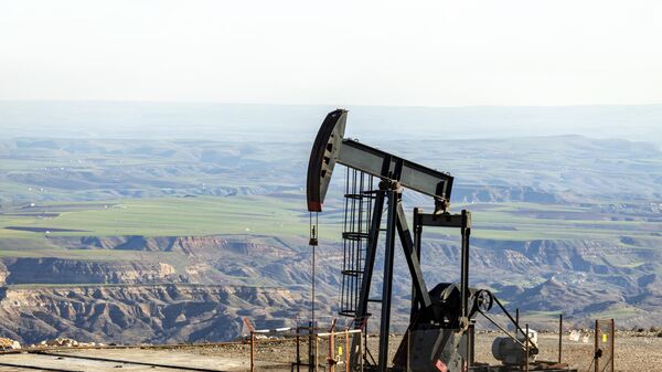 Вид на домкрат насоса в нефтяной скважине - Sputnik Азербайджан
