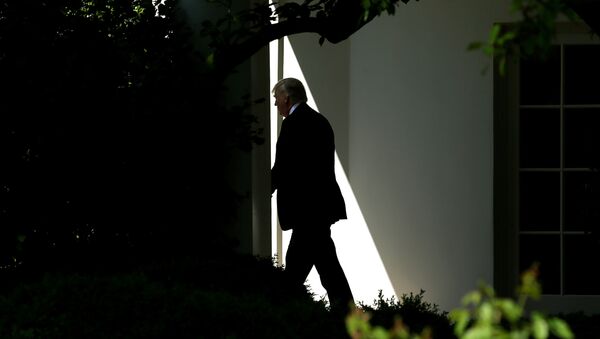 Президент США Дональд Трамп в Белом доме, 28 апреля 2017 года - Sputnik Азербайджан