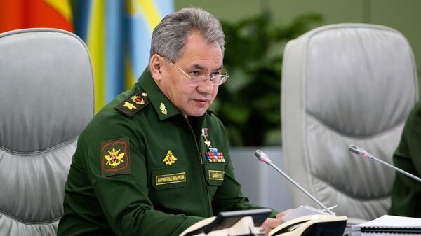 Министр обороны РФ Сергей Шойгу - Sputnik Азербайджан