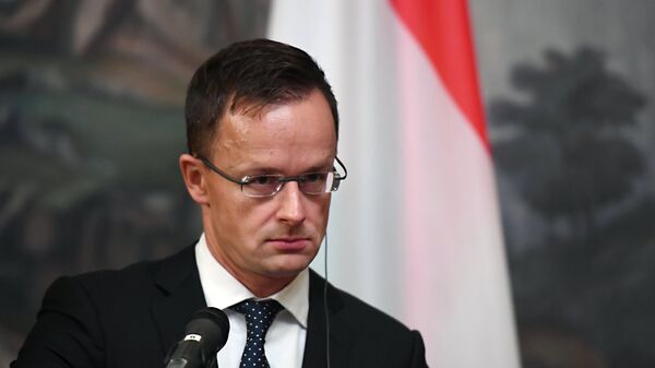 Глава МИД Венгрии Петер Сийярто - Sputnik Азербайджан